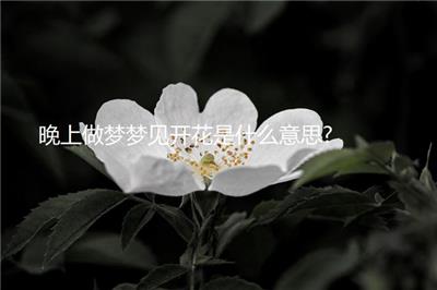 晚上做梦梦见开花是什么意思?
