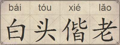 白头偕老的拼音