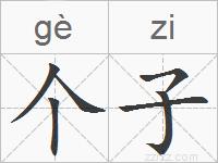 个子的拼音