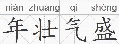 年壮气盛的拼音