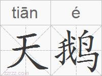 天鹅的拼音