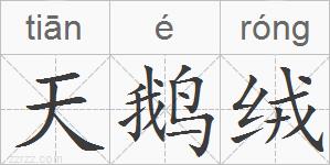 天鹅绒的拼音