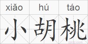 小胡桃的拼音