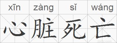 心脏死亡的拼音