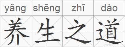养生之道的拼音