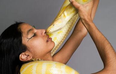女人梦见蛇